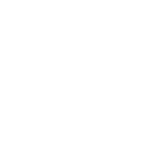 Summit Webinars